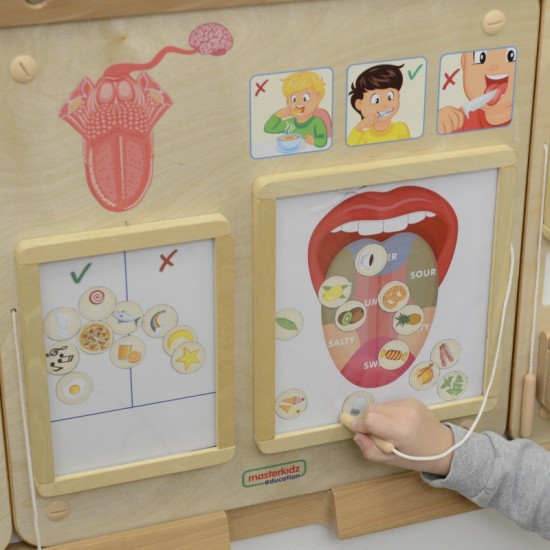 Regos pojūčių ugdymo lenta MASTERKIDZ Montessori