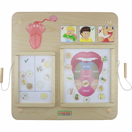 Regos pojūčių ugdymo lenta MASTERKIDZ Montessori