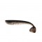 Silikoninis masalas TRICKY BAITS Flexy Valgomas, 6 TB-F6-JP 145mm, 23g.