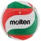 Tinklinio kamuolys Molten V5M2500