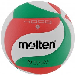 Tinklinio kamuolys MOLTEN V5M4000-X
