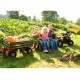 Trailer didelė priekaba, 3 ašių, daugiafunkcė priekaba Rolly Toys rolly