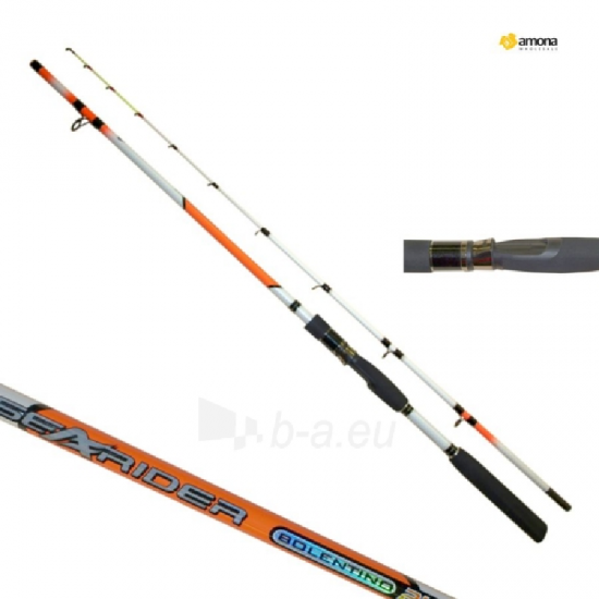 Universalus Spiningas CONDOR Sea Rider 2-jų Dalių, Ilgis 2.4 m, Testas 200g.