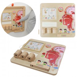 Uoslės ugdymo taryba MASTERKIDZ Montessori