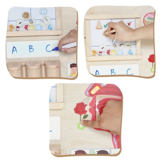 Uoslės ugdymo taryba MASTERKIDZ Montessori