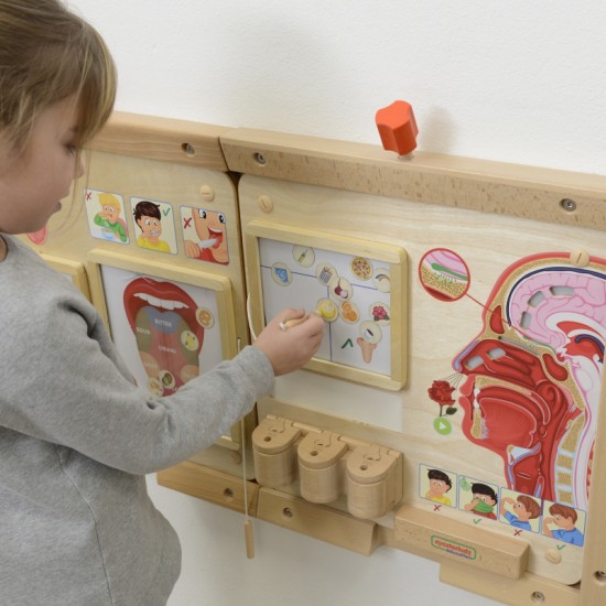 Uoslės ugdymo taryba MASTERKIDZ Montessori