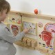 Uoslės ugdymo taryba MASTERKIDZ Montessori