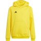 Vaikiškas Džemperis Adidas Entrada 22 Hoody Geltona HI2142