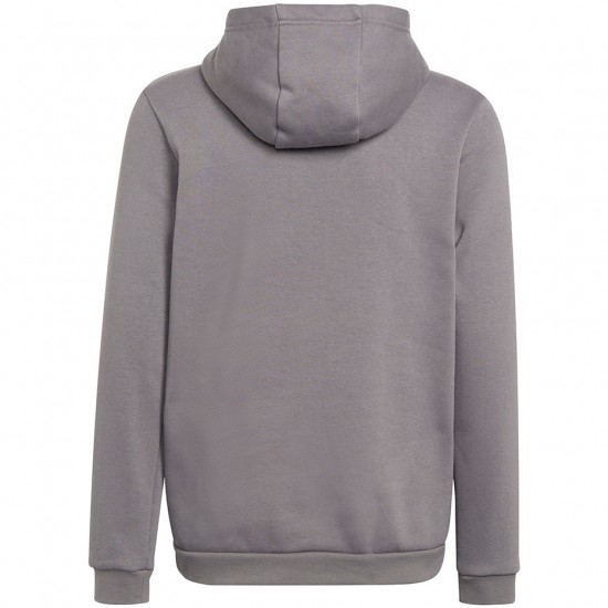 Vaikiškas Džemperis Adidas Entrada 22 Hoody Pilka H57515