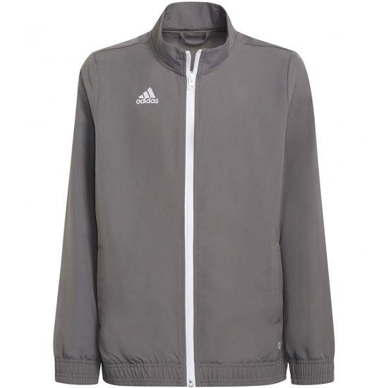 Vaikiškas Džemperis Adidas Entrada 22 Pilka H57539