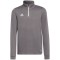 Vaikiškas Džemperis Adidas Entrada 22 Pilka H57549
