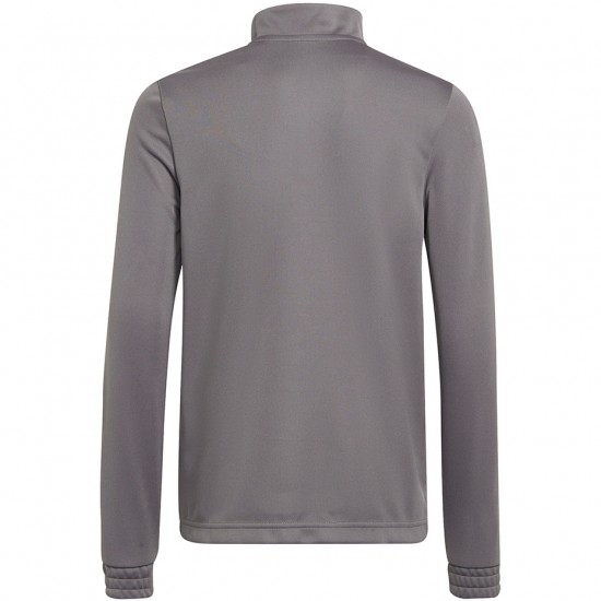 Vaikiškas Džemperis Adidas Entrada 22 Pilka H57549