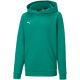 Vaikiškas Džemperis Puma teamGOAL 23 Casuals Hoody Jr Žalias 656711 05