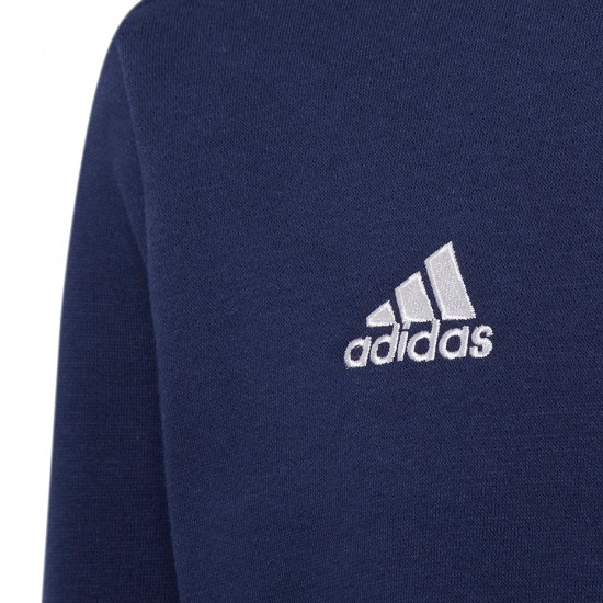 Vaikiškas Megztinis Adidas Entrada 22 Sweat Top