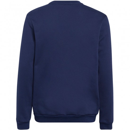 Vaikiškas Megztinis Adidas Entrada 22 Sweat Top