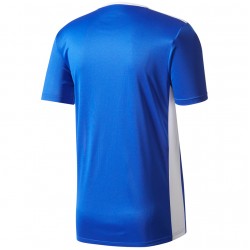Vaikiški futbolo marškinėliai adidas Entrada 18 JR CF1037