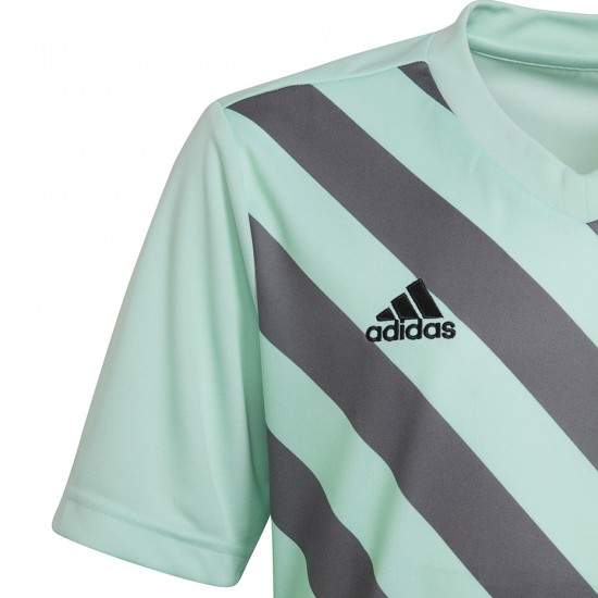 Vaikiški Marškinėliai Adidas Entrada 22 Grafinis Džersis Mėtų Pilkas HF0127