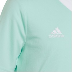Vaikiški Marškinėliai Adidas Entrada 22 Jersey Mintinis HC5078