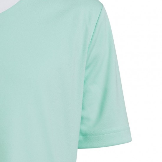 Vaikiški Marškinėliai Adidas Entrada 22 Jersey Mintinis HC5078