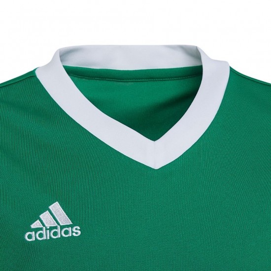 Vaikiški Marškinėliai Adidas Entrada 22 Jersey Žalia HI2126