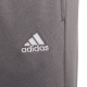 Vaikiškos Kelnės Adidas Entrada 22 Sweat Pants Pilka H57519