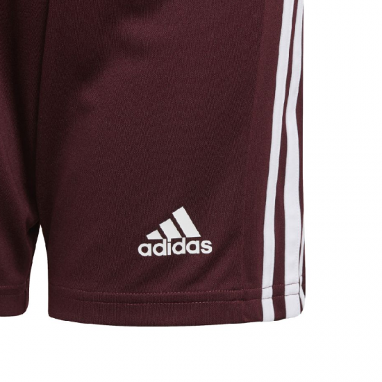 Vaikų Šortai Adidas Squadra 21 Burgundijos GN8081