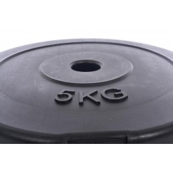 Vinilų Svorio Diskas Grifams Ir Hanteliams 5kg (31,5mm)