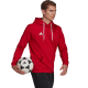 Vyriškas Džemperis Adidas Entrada 22 Hoody Raudonas H57514