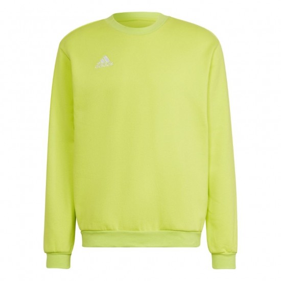 Vyriškas Džemperis Adidas Entrada Žalias HC5049