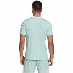 Vyriški Marškinėliai Adidas Entrada 22 Jersey Mintinis HC5073