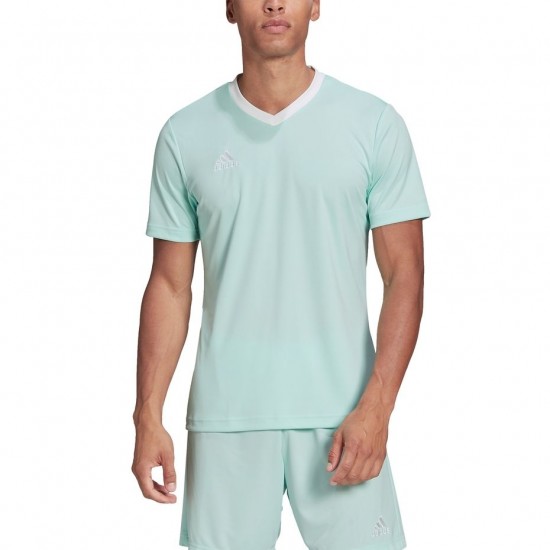 Vyriški Marškinėliai Adidas Entrada 22 Jersey Mintinis HC5073