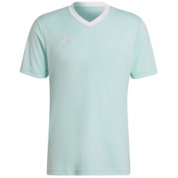 Vyriški Marškinėliai Adidas Entrada 22 Jersey Mintinis HC5073
