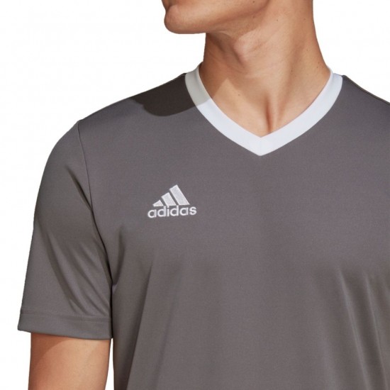 Vyriški Marškinėliai Adidas Entrada 22 Jersey Pilka HE1574