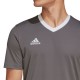 Vyriški Marškinėliai Adidas Entrada 22 Jersey Pilka HE1574