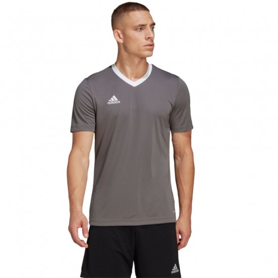 Vyriški Marškinėliai Adidas Entrada 22 Jersey Pilka HE1574