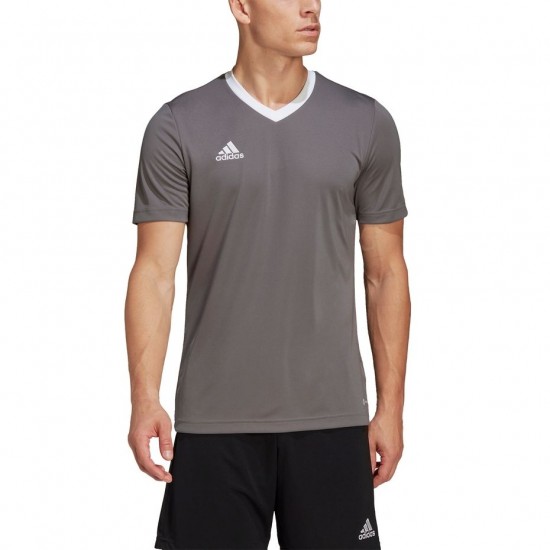 Vyriški Marškinėliai Adidas Entrada 22 Jersey Pilka HE1574