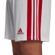Vyriški Šortai Adidas Squadra 21 Balta Ir Raudona GN5770