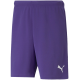 Vyriški Šortai Puma TeamRISE Violetinis 704942 10