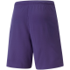 Vyriški Šortai Puma TeamRISE Violetinis 704942 10