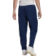 Vyriškos Kelnės Adidas Entrada 22 Presentation Pants Garnate HB5329