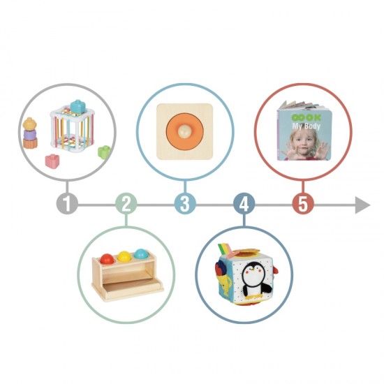 Žaislų dėžutė edukacinė 5in1 sensorinė dėžutė 11-12 mėnesių TOOKY TOY XXL Montessori