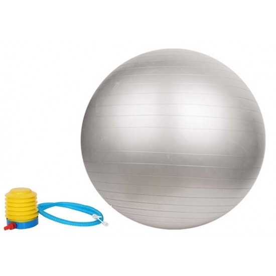 Gimnastikos kamuolys SANRO 55cm Pilkas su pompa