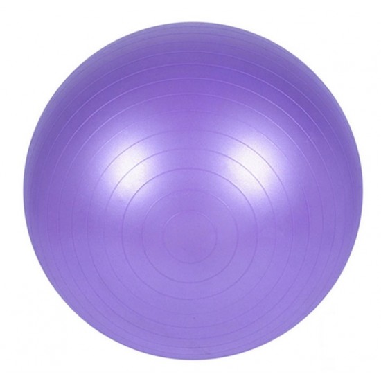 Gimnastikos kamuolys SANRO 75cm Šviesiai violetinis su pompa Gimnastikos kamuolys SANRO 75cm Šviesiai violetinis su pompa