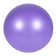 Gimnastikos kamuolys SANRO 75cm Šviesiai violetinis su pompa Gimnastikos kamuolys SANRO 75cm Šviesiai violetinis su pompa