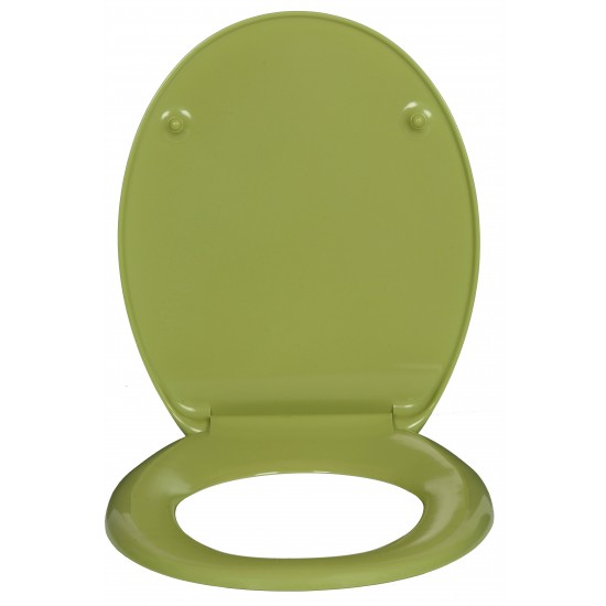 Klozeto dangtis DU07 lėtas green