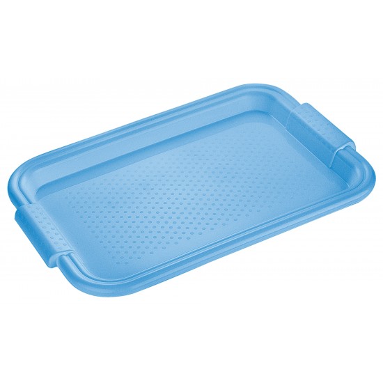 Padėklas plast. 45*30*2.5cm 268 Padėklas plast. 45*30*2.5cm 268