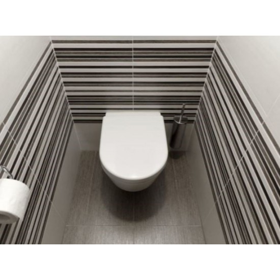 Vonios kambario aksesuaras Multi, WC šepetys